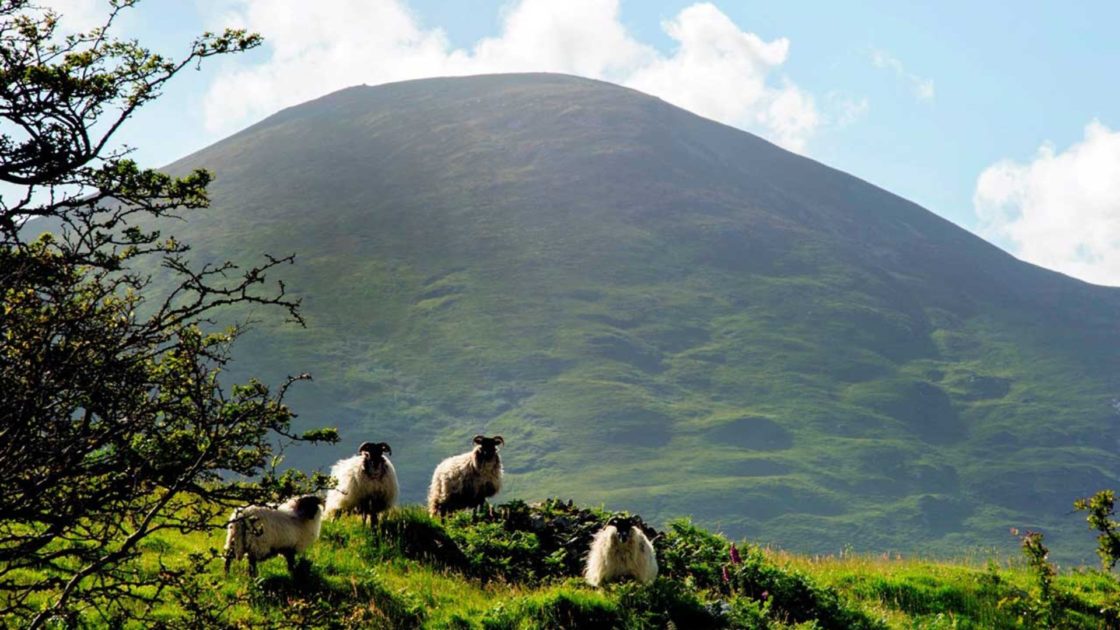 mulranny-park-hotel-mulranny-countryside