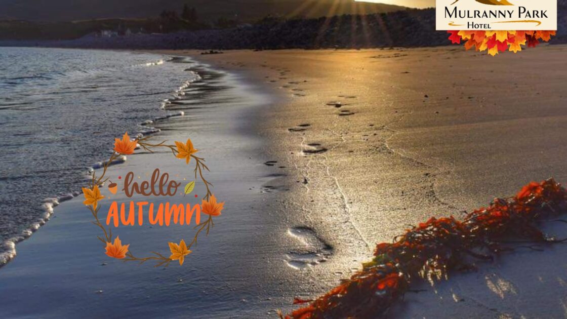 Untitled (1600 x 1200 px)