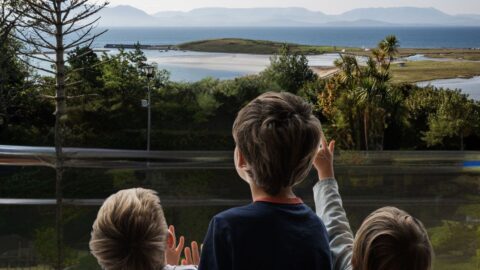 Copy of Untitled Design (1600 x 1200 px)