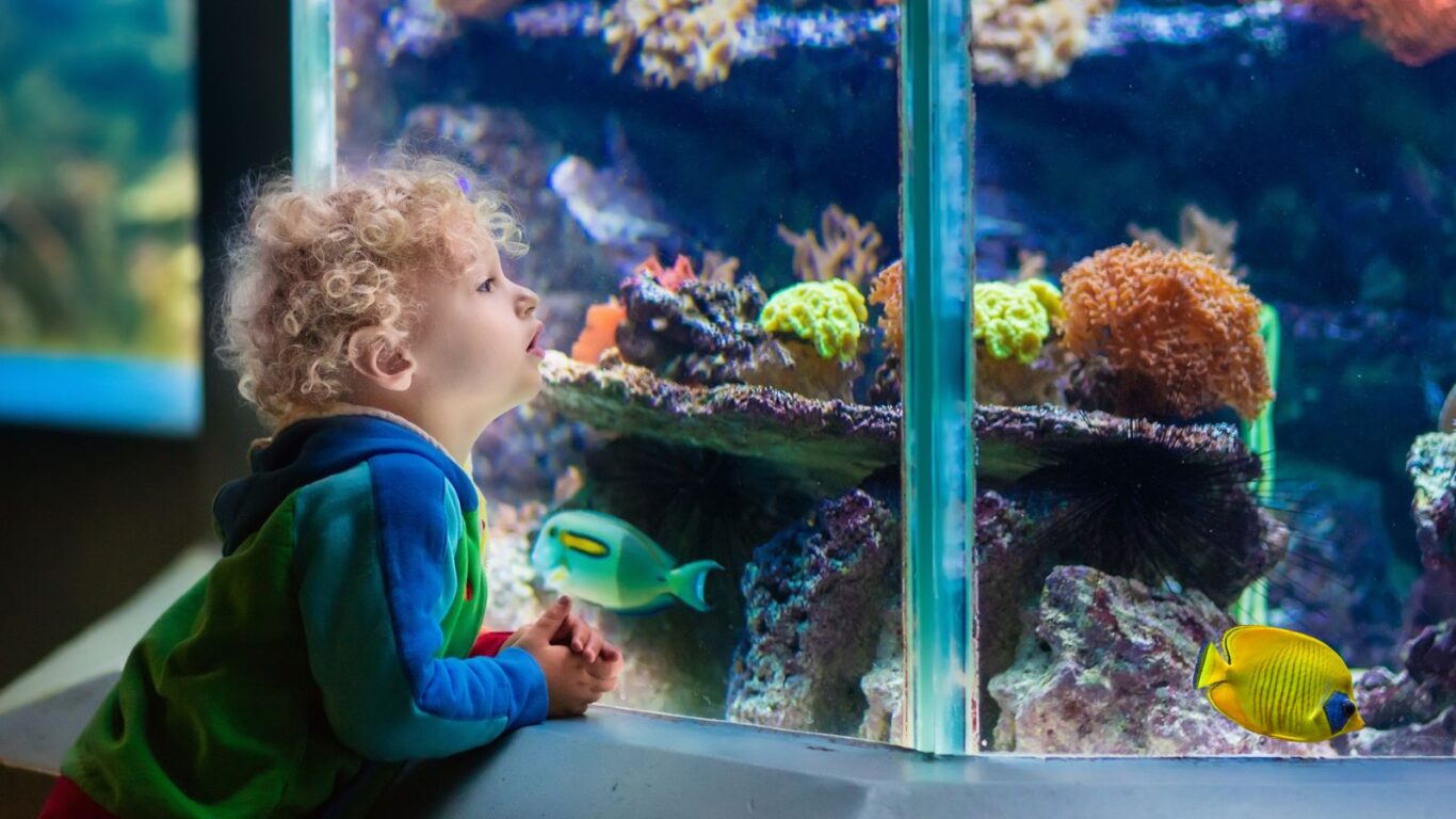 Copy of Untitled Design (1600 x 1200 px) (1200 x 1200 px) (1200 x 1200 px) (1600 x 1200 px)