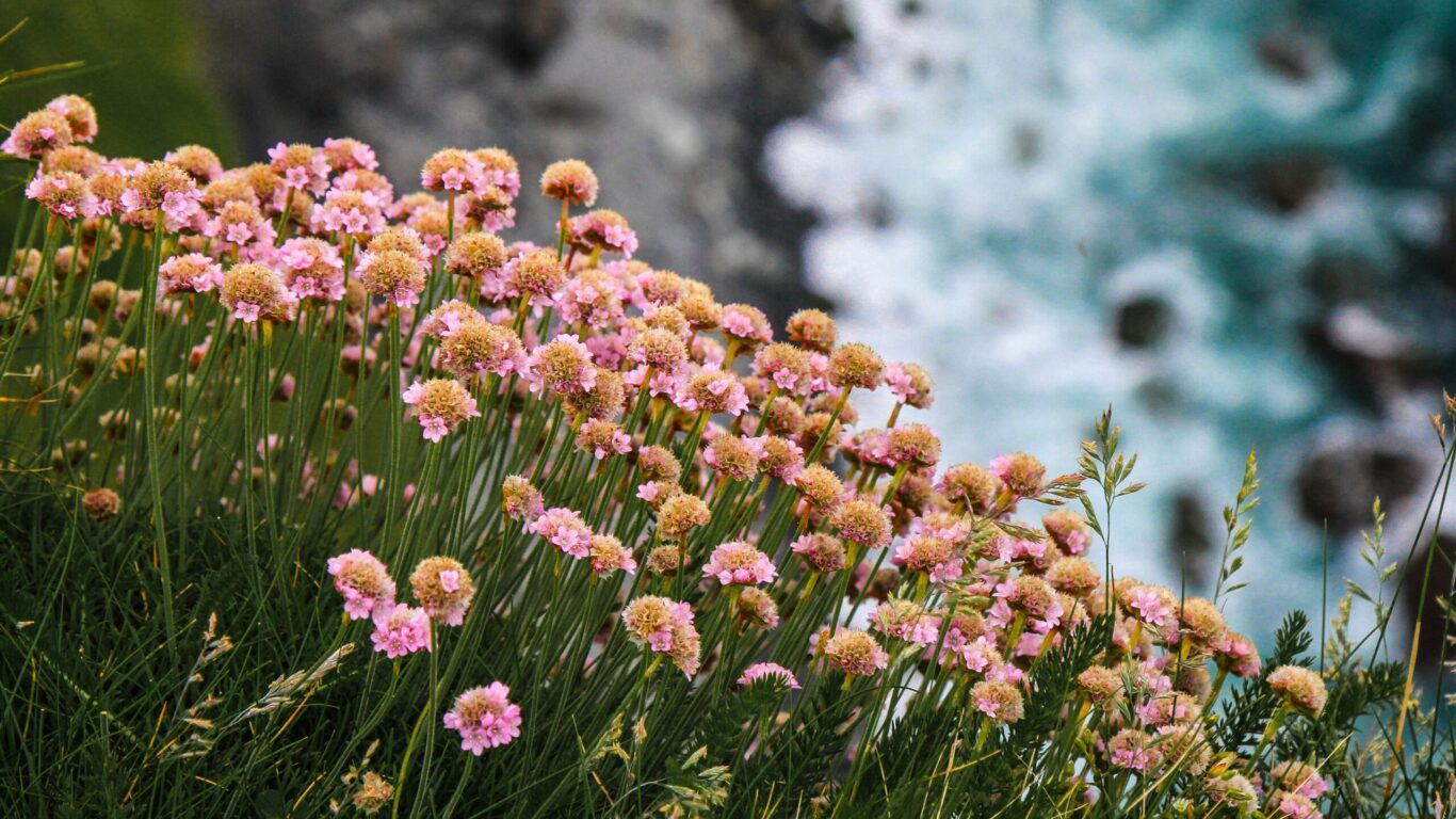 Valentine&rsquo;s Weekend