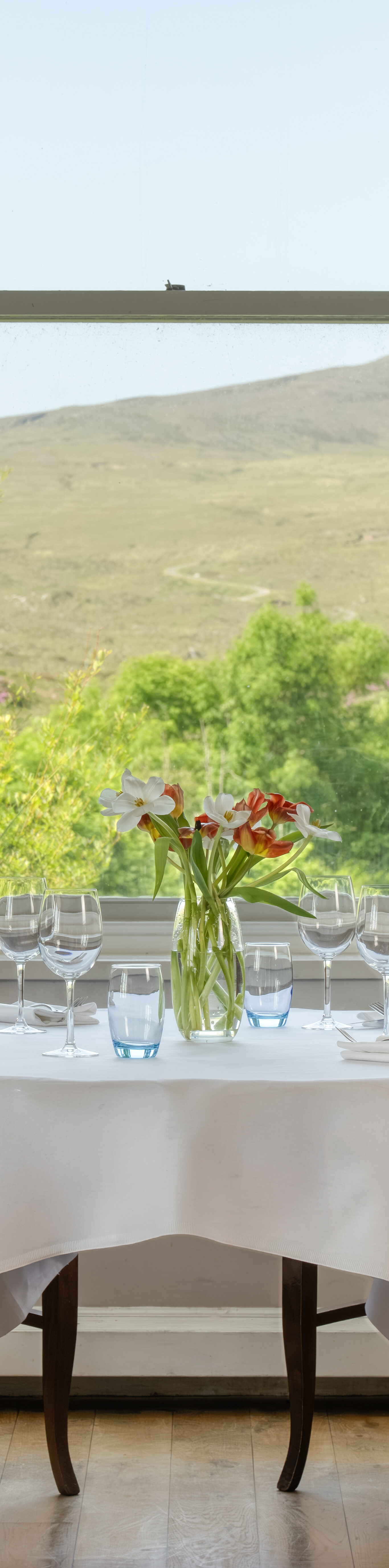 25_260603_restaurant_mountain_view